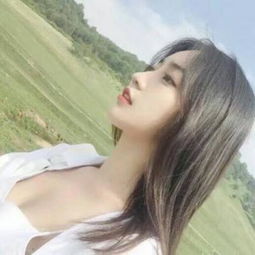 口袋战争九游版下载